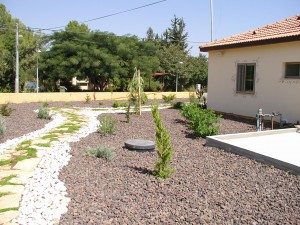 גינון עם אבן